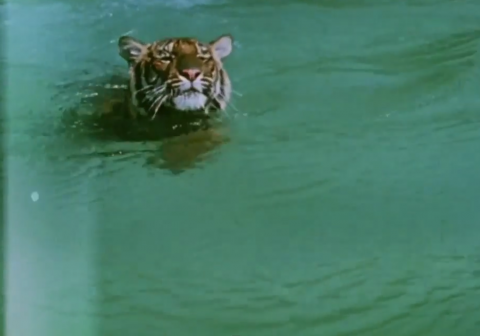 Screen Shot 2015-05-26 at 16.35.49